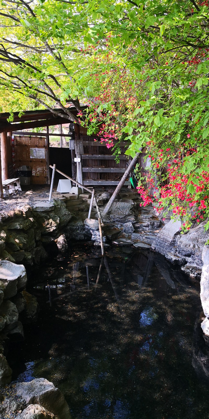 半額王子さんの湖畔の宿支笏湖 丸駒温泉旅館のサ活写真