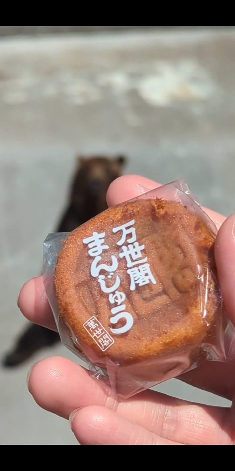 半額王子さんの北湯沢温泉郷 湯元ホロホロ山荘のサ活写真