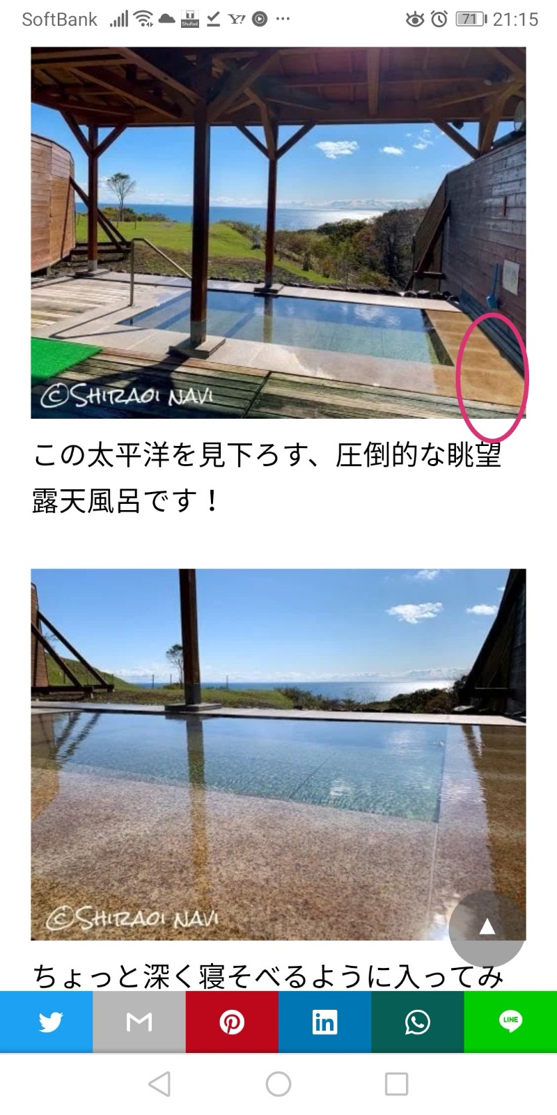 半額王子さんのホテルいずみのサ活写真