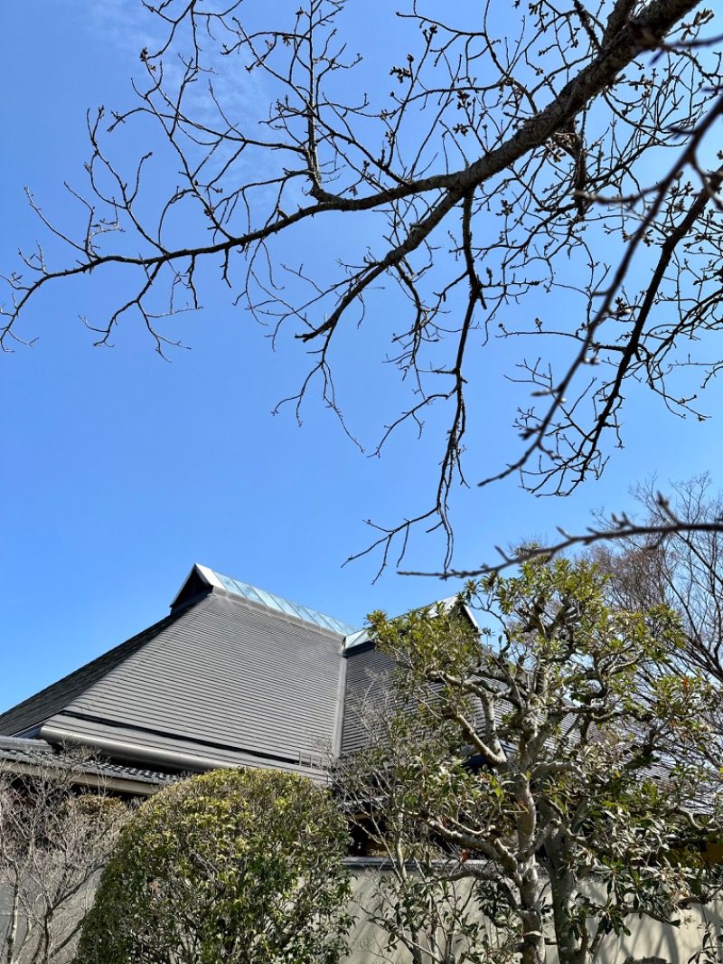 MUSHIUSさんの東温市ふるさと交流館さくらの湯のサ活写真