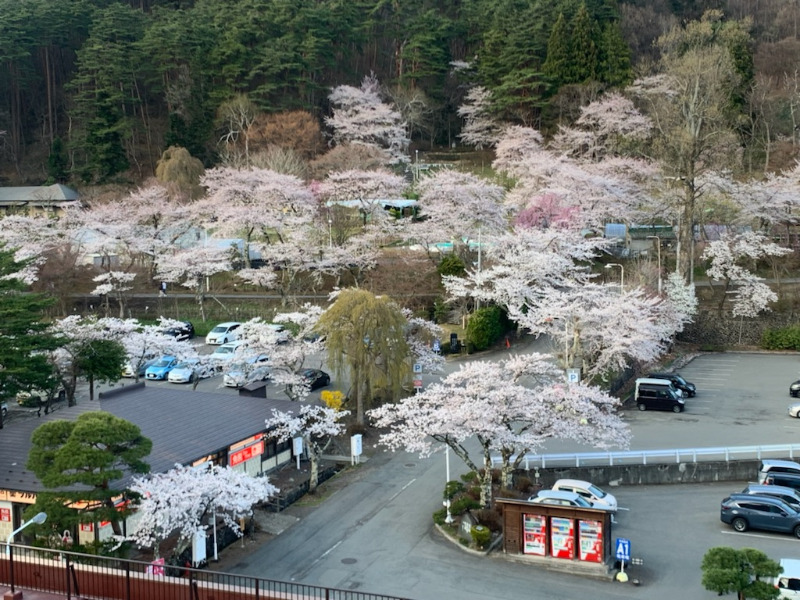 エドモンドさんの花巻温泉 ホテル紅葉館のサ活写真