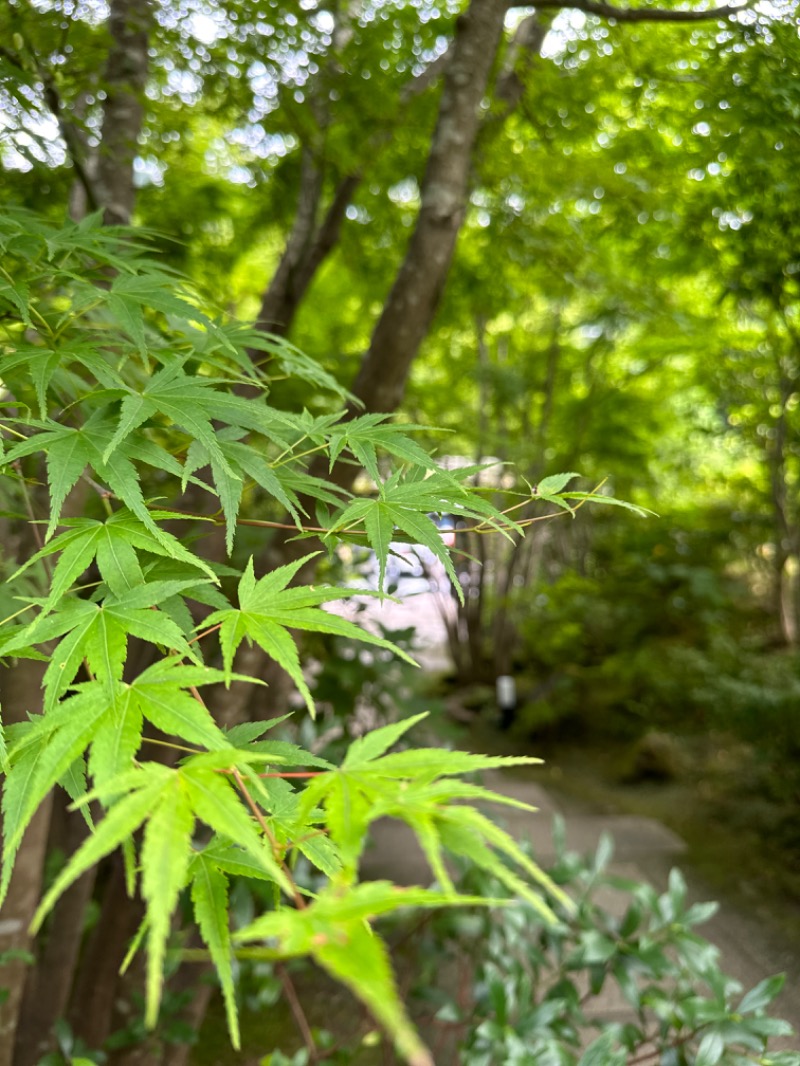 🈂️トウさんの箱根湯寮のサ活写真