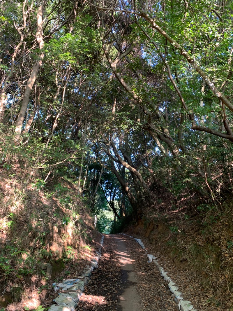 てんちょ（TNC）さんの成田の命泉 大和の湯のサ活写真