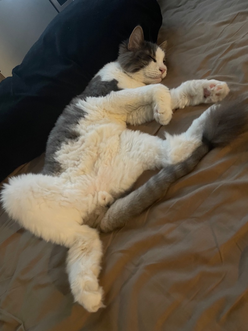 かなさんのサウナ東京 (Sauna Tokyo)のサ活写真