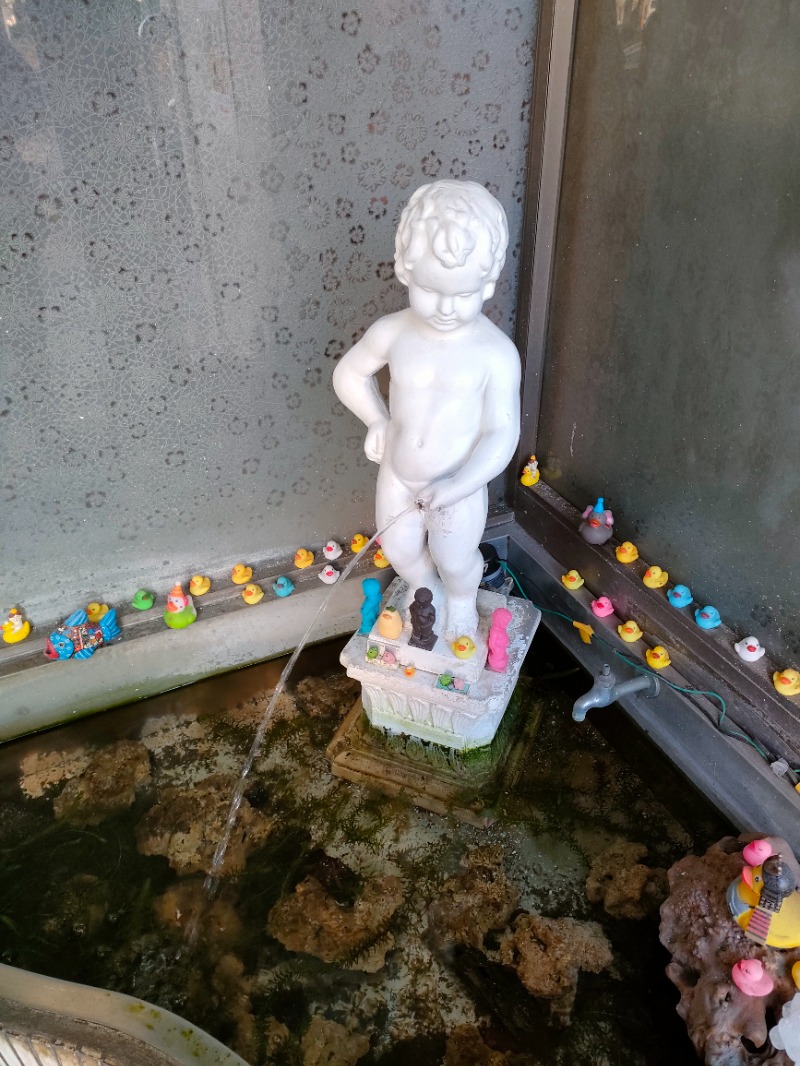 あつのすけさんの小松湯のサ活写真