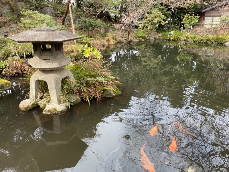 Kazuyaさんの豊島園 庭の湯のサ活写真