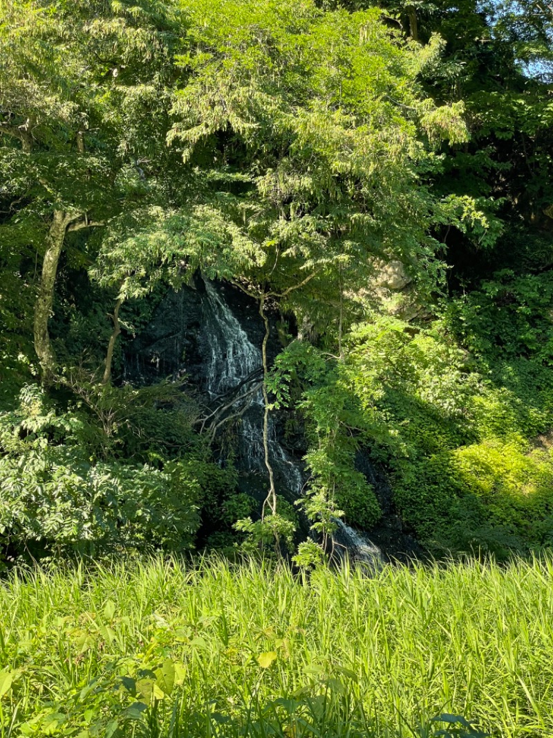 YUさんの鉛温泉 藤三旅館のサ活写真