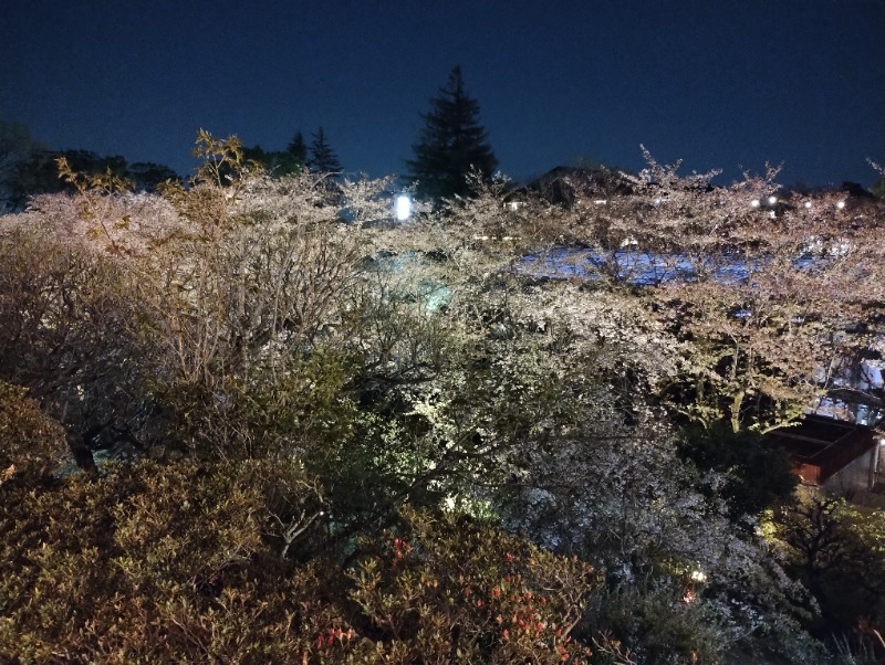 フロ太郎さんのよみうりランド眺望温泉 花景の湯のサ活写真