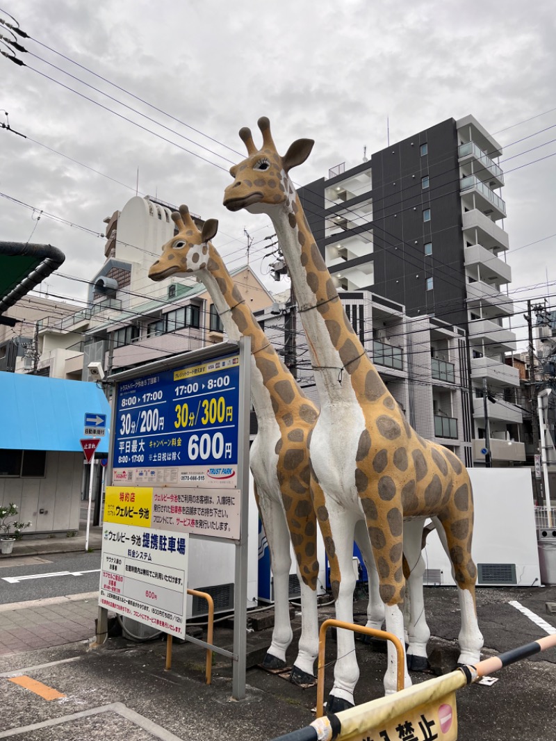 つばたグースさんのウェルビー今池のサ活写真