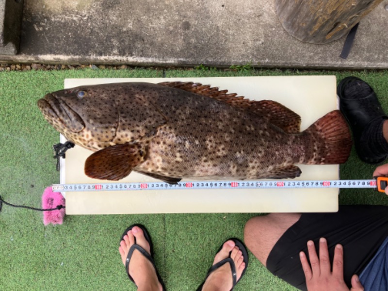 極楽サ道さんのこばやし温泉 美人の湯のサ活写真