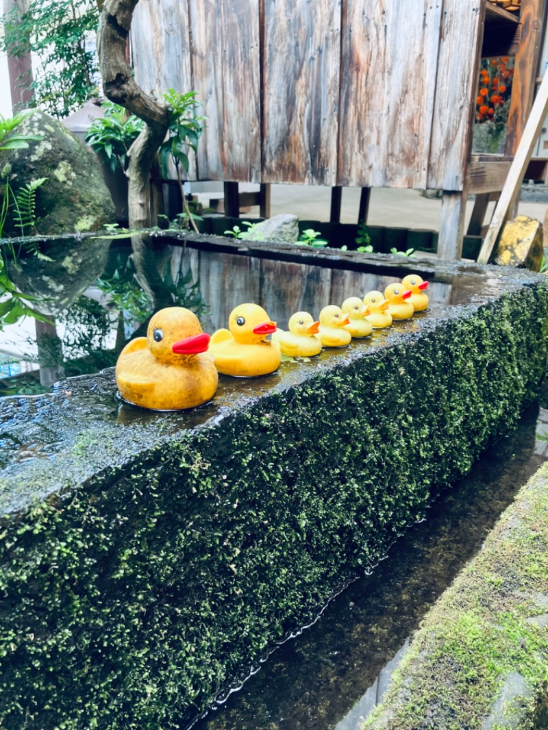 極楽サ道さんの湯之元温泉のサ活写真