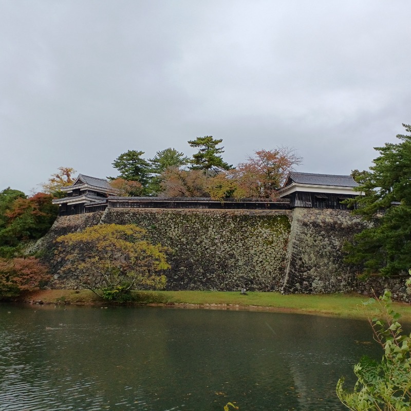 サウナ🌟ビギさんの天然温泉 だんだんの湯 御宿 野乃 松江のサ活写真