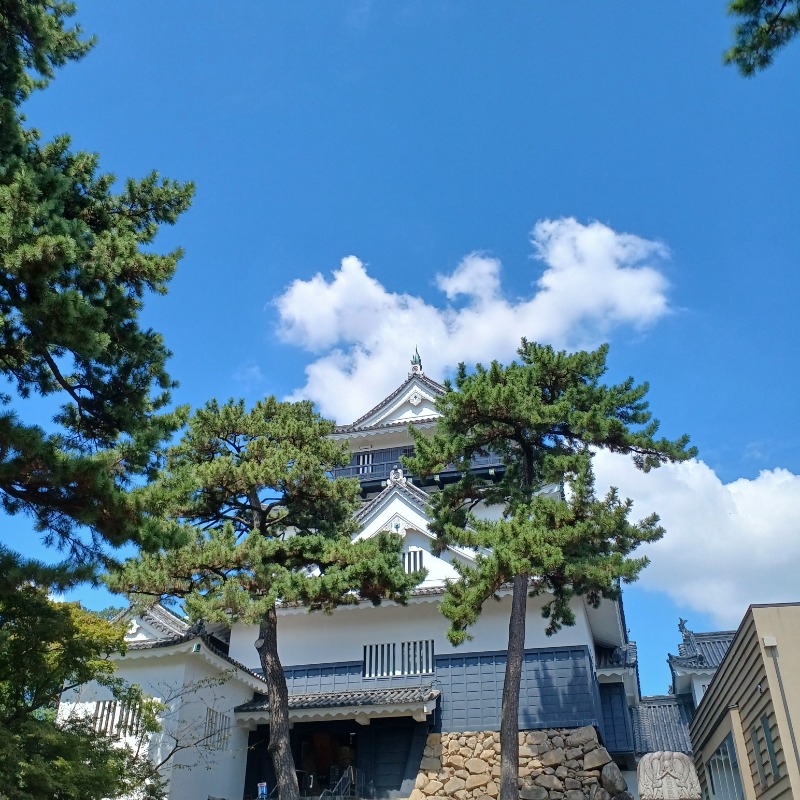 サウナ🌟ビギさんの名古屋ビーズホテル らくだの湯のサ活写真