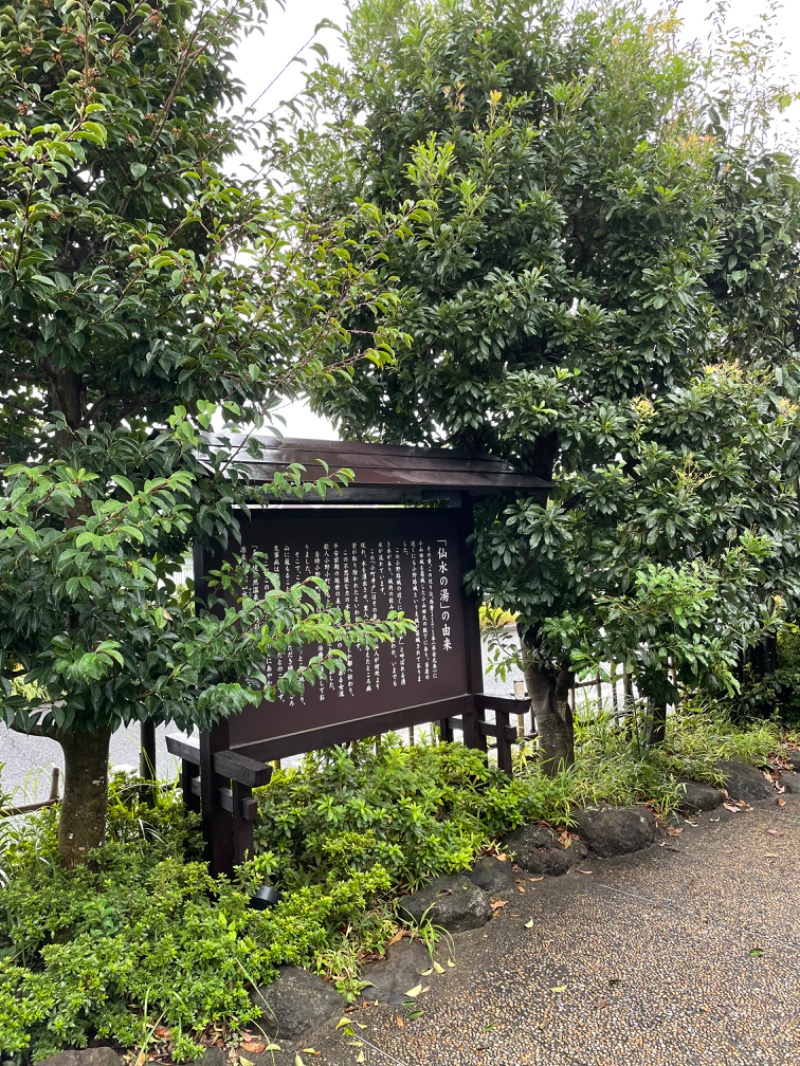 虫親父さんの多摩境天然温泉 森乃彩のサ活写真