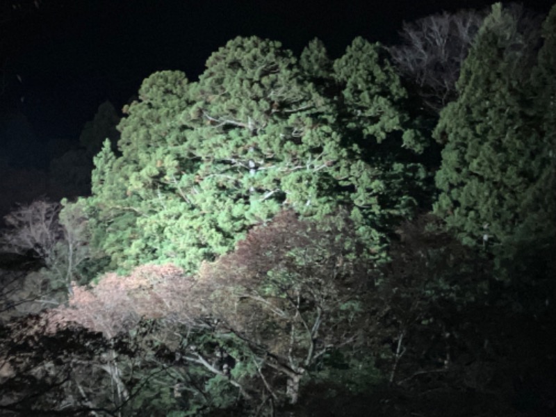 どらさんの湯快リゾートプレミアム 山中温泉 よしのや依緑園のサ活写真