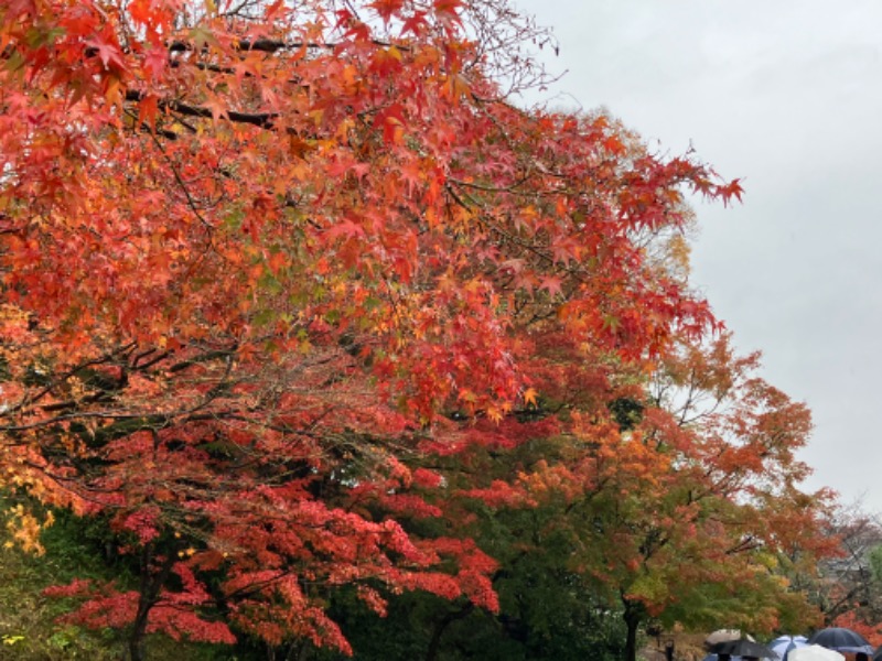 どらさんの湯～トピアきりしまのサ活写真