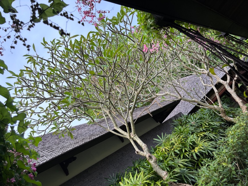 サウナモンスター（蒸獣）さんのHyatt Regency Baliのサ活写真