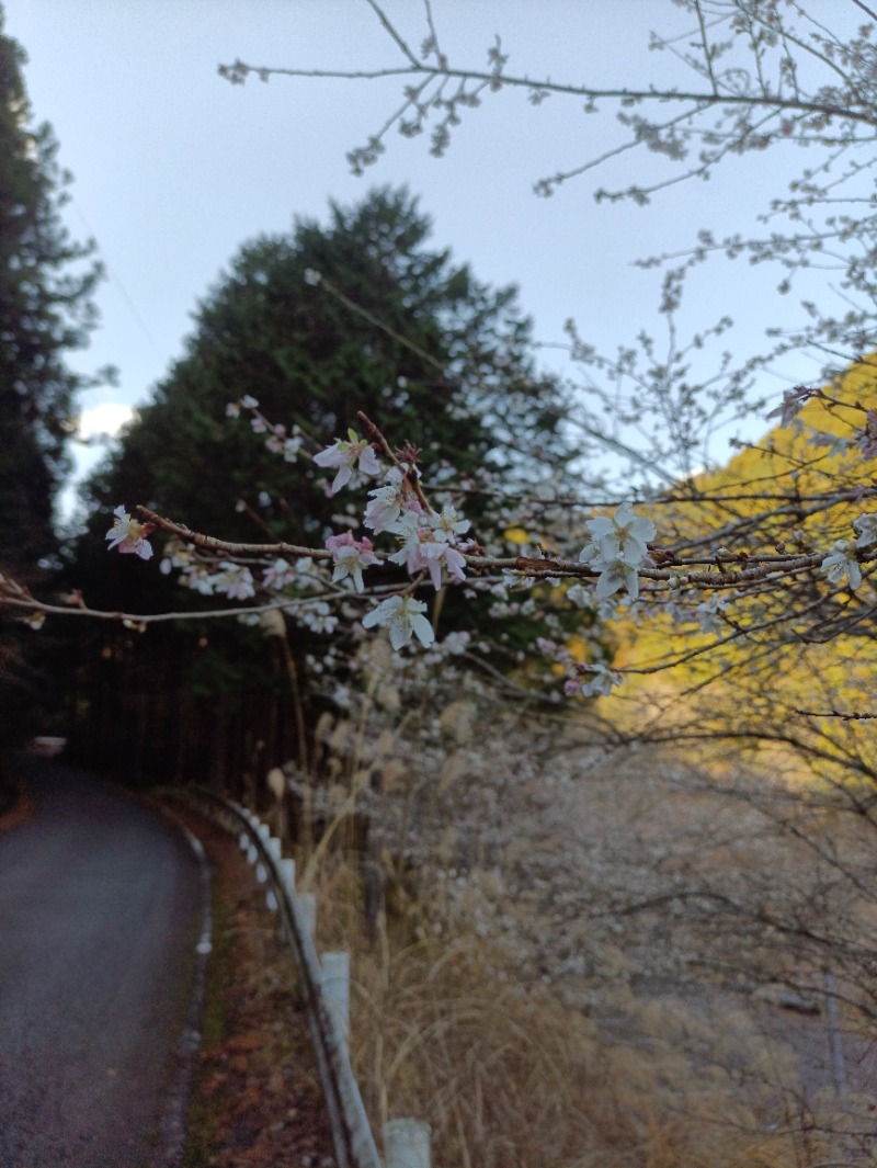 高さんの奥山温泉のサ活写真