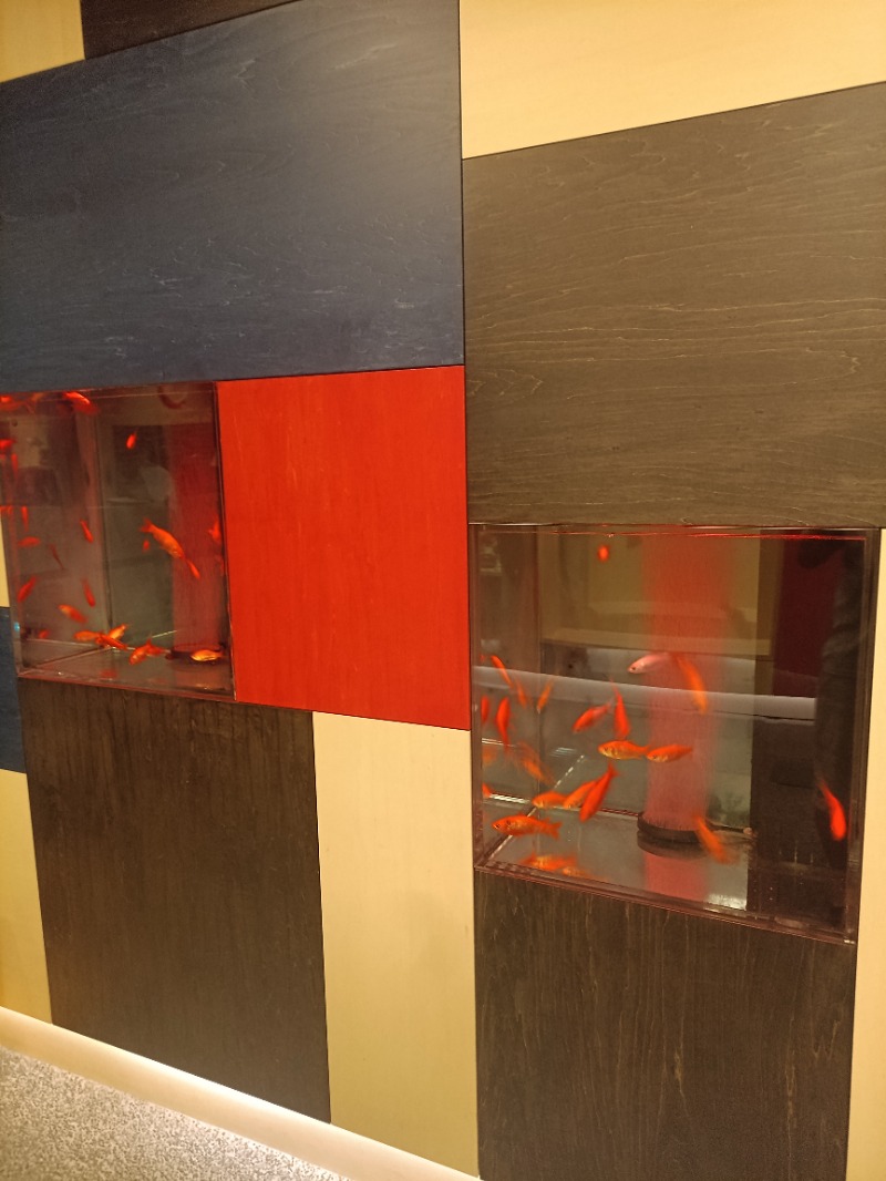 高さんのおふろcafe bijinyu | 美肌湯のサ活写真