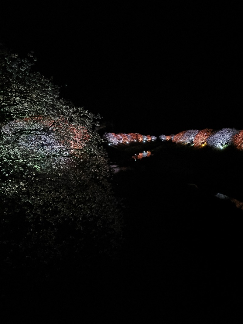 高さんの下賀茂温泉 銀の湯会館のサ活写真
