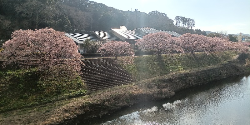 高さんの下賀茂温泉 銀の湯会館のサ活写真