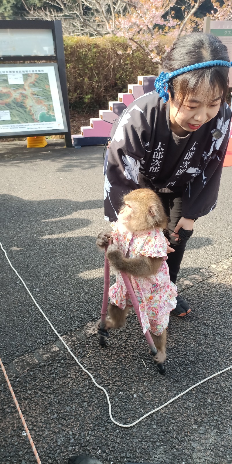 高さんの下賀茂温泉 銀の湯会館のサ活写真