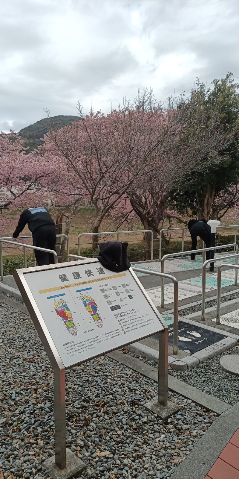 高さんの下賀茂温泉 銀の湯会館のサ活写真