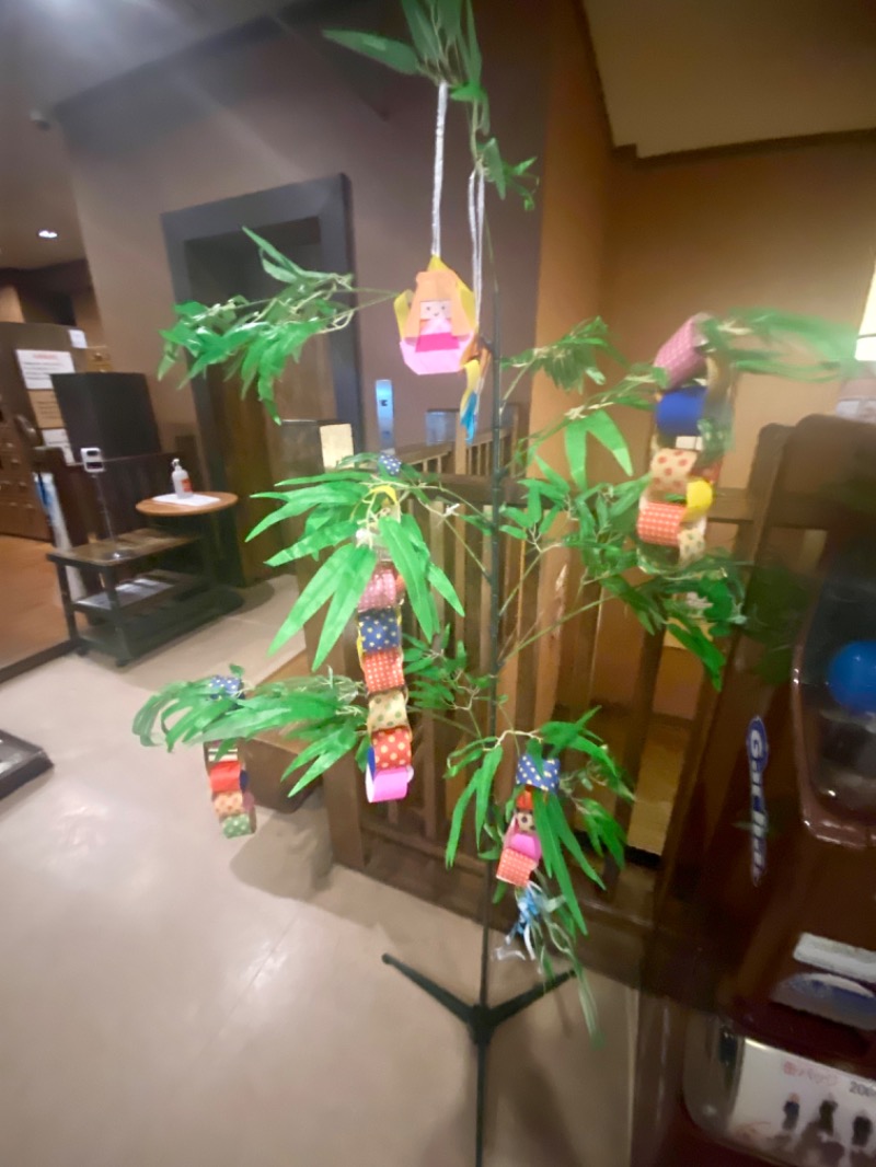 ＯＳさんの大谷田温泉 明神の湯のサ活写真