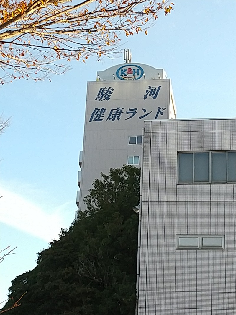 あいえす🐬さんの駿河健康ランドのサ活写真