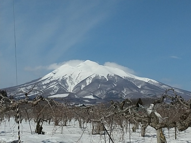 あいえす🐬さんのおおびらき温泉のサ活写真
