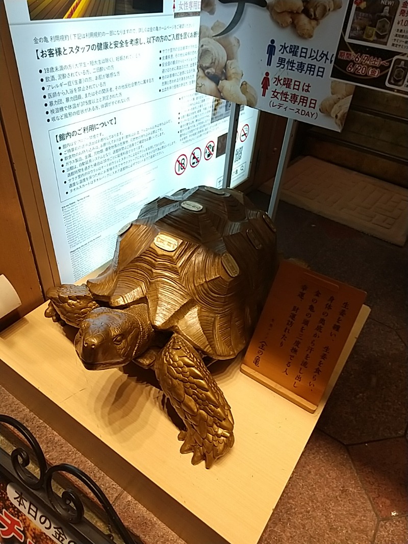 あいえす🐬さんの生姜サウナ 金の亀のサ活写真