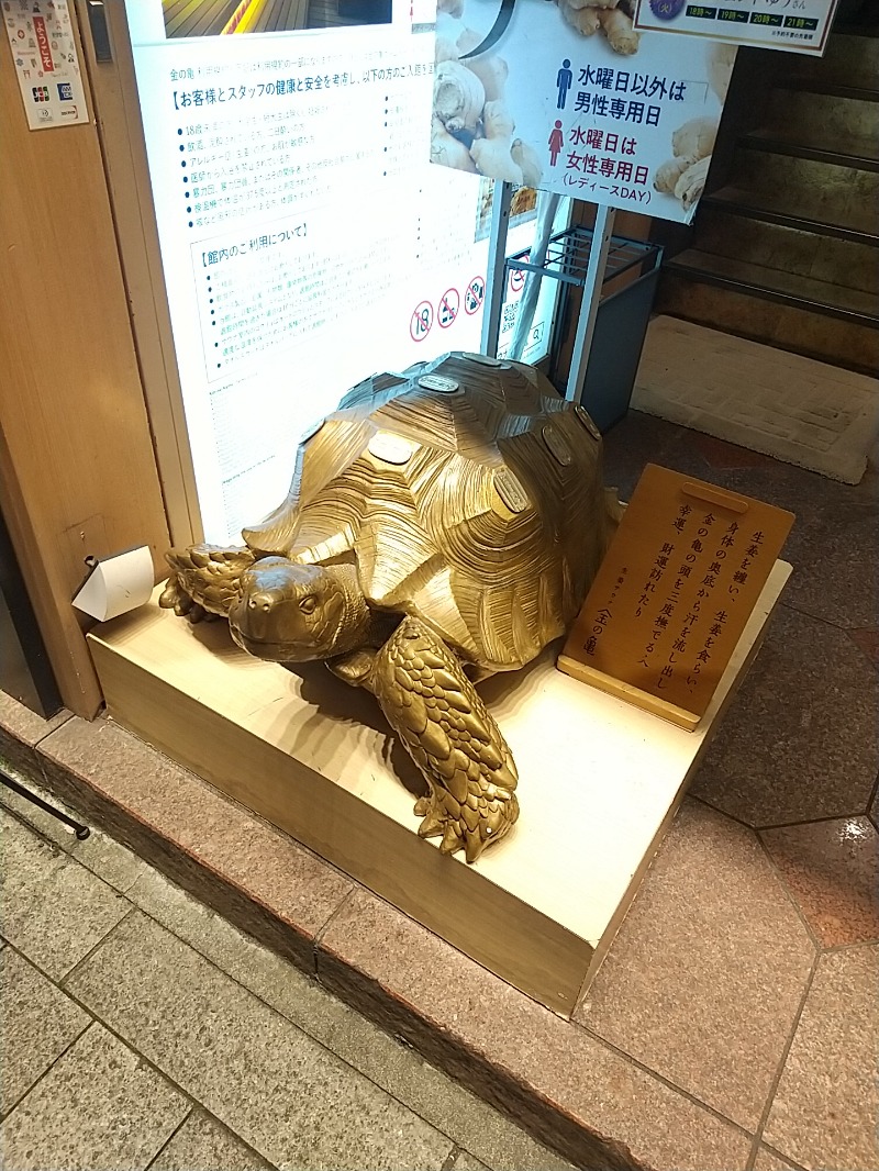 あいえす🐬さんの生姜サウナ「金の亀」のサ活写真