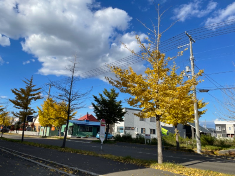 307530さんの湯の花江別殿のサ活写真