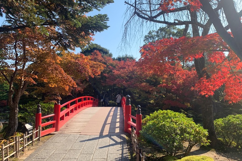 みーさんの天然温泉 だんだんの湯 御宿 野乃 松江のサ活写真