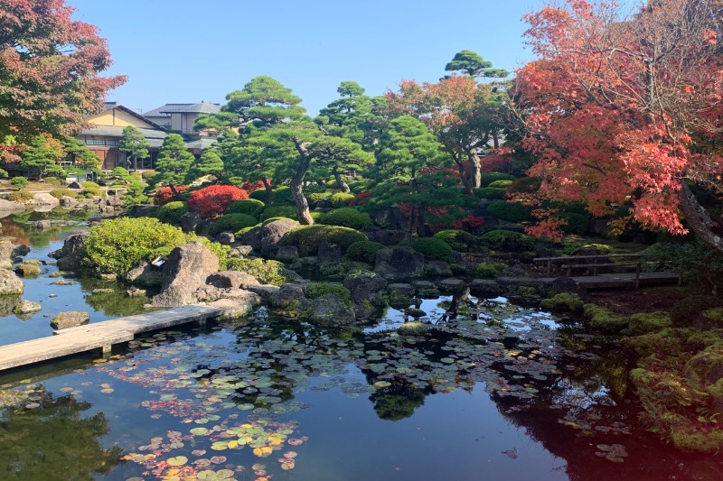 みーさんの天然温泉 だんだんの湯 御宿 野乃 松江のサ活写真