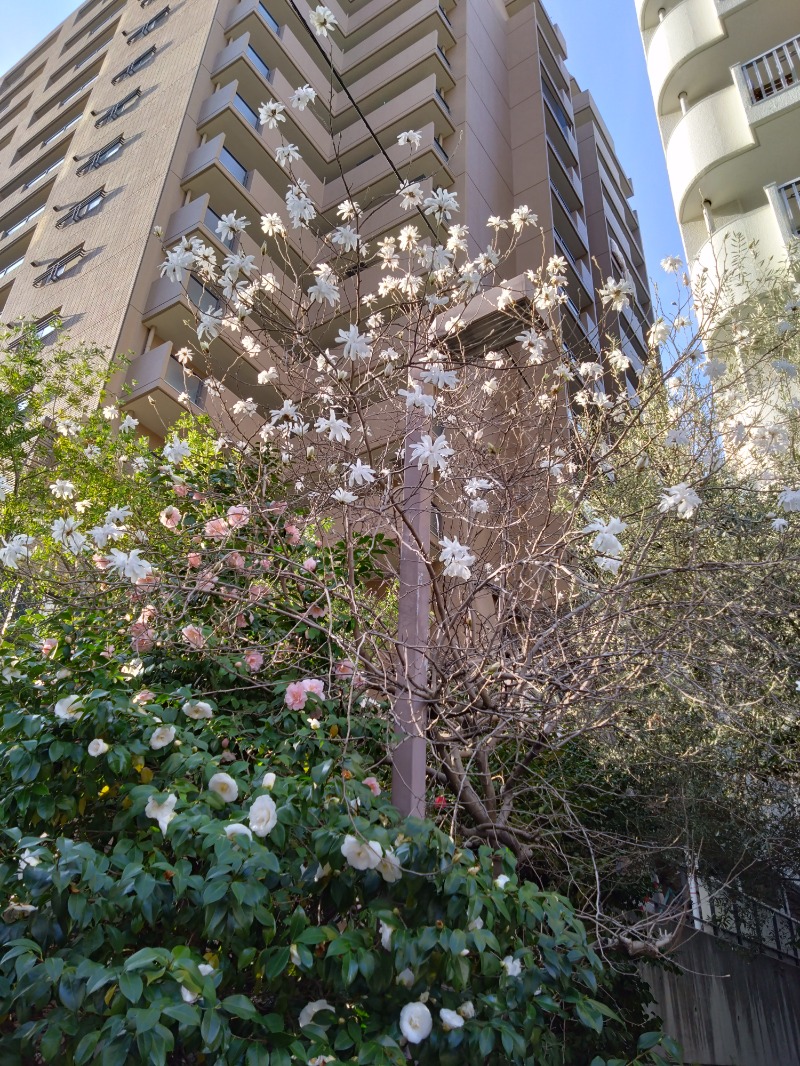 るり氏*GFさんの葉村温泉のサ活写真