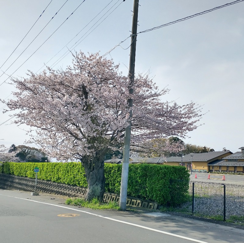 ４２６さんのひたちなか温泉 喜楽里別邸のサ活写真