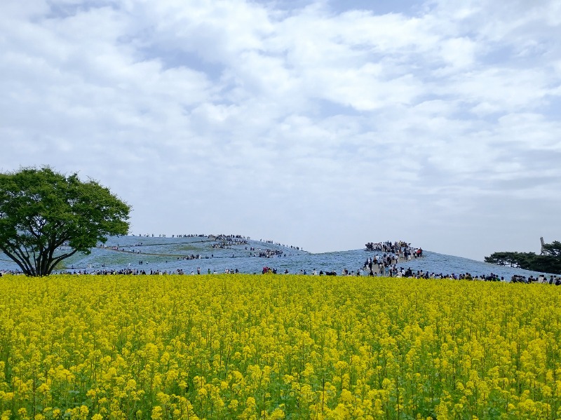 ４２６さんのひたちなか温泉 喜楽里別邸のサ活写真