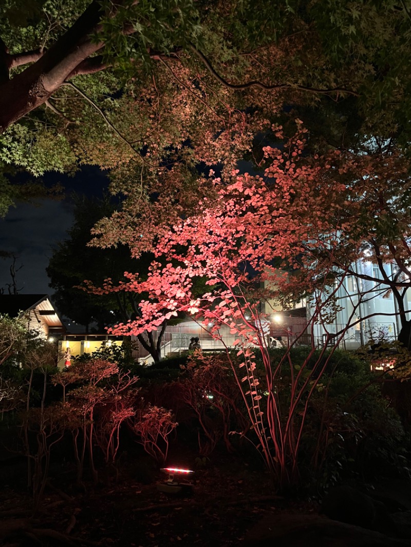 市原 淳さんの豊島園 庭の湯のサ活写真