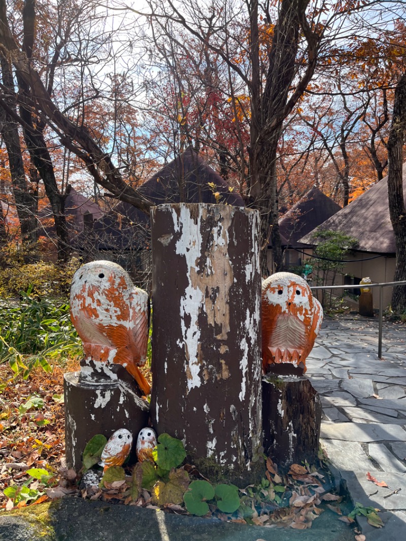 市原 淳さんのホテルサンバレー那須 湯遊天国・森の湯・湯処ひのきのサ活写真