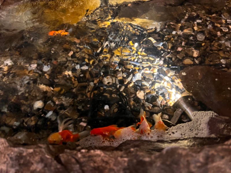 みつおさんのサウナ東京 (Sauna Tokyo)のサ活写真