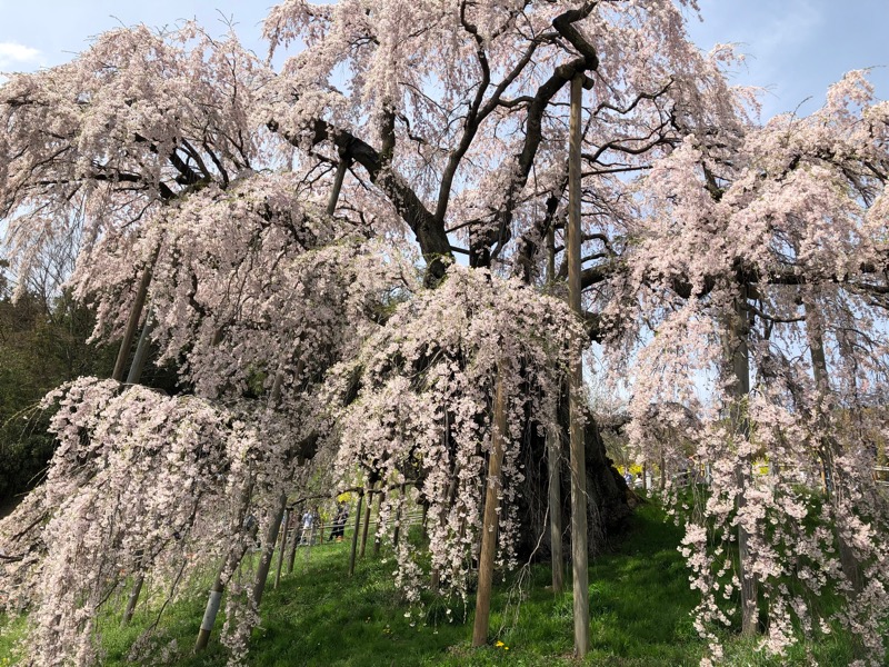 にのうでさんの三春の里 田園生活館のサ活写真