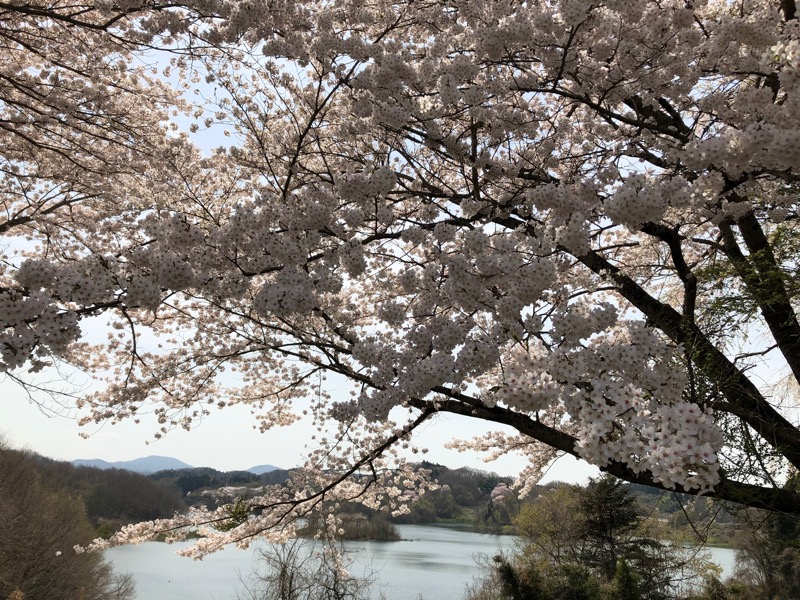 にのうでさんの三春の里 田園生活館のサ活写真