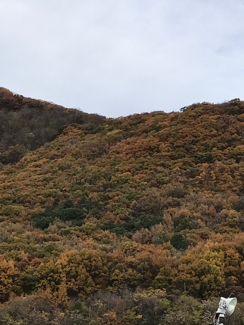 はちさんの石和健康ランドのサ活写真