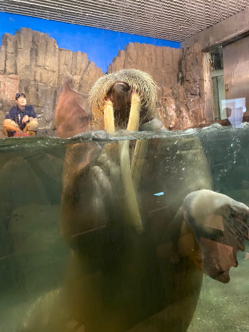 もじゃもじゃさんのさとの湯のサ活写真