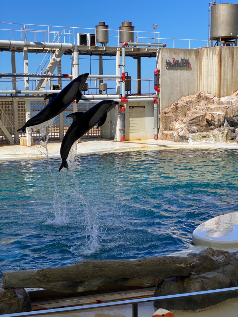 もじゃもじゃさんのさとの湯のサ活写真