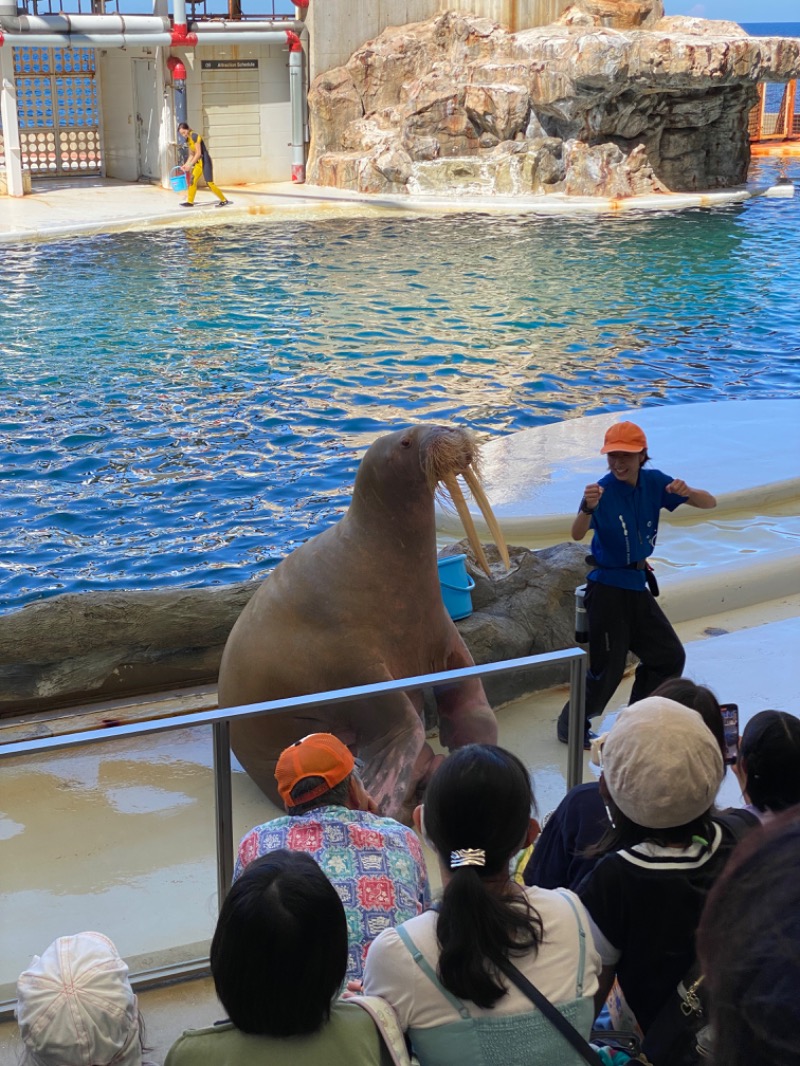 もじゃもじゃさんのさとの湯のサ活写真