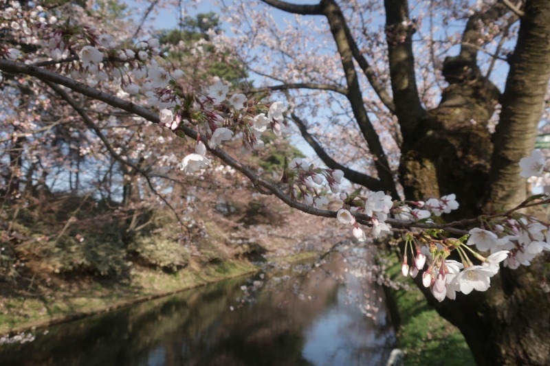 Mazo Itohさんの板柳町ふるさとセンター 青柳館 ふるさと温泉のサ活写真