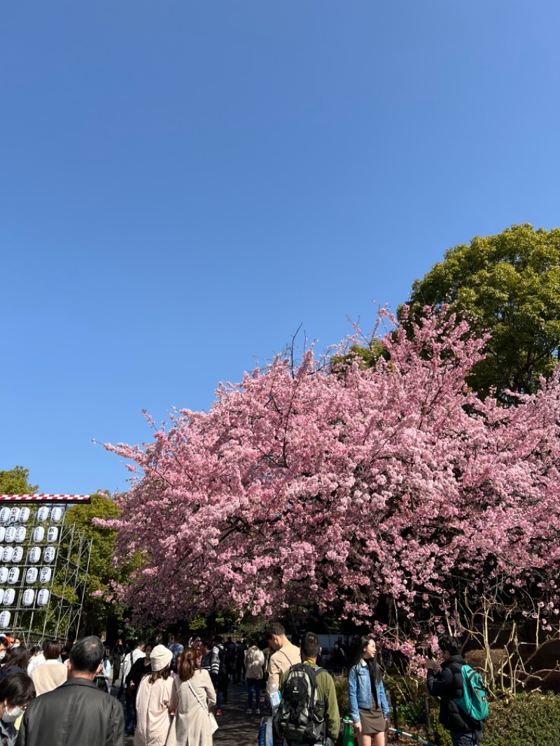 SEI SEIKO (NEW)さんのサウナ&カプセルホテル 北欧のサ活写真