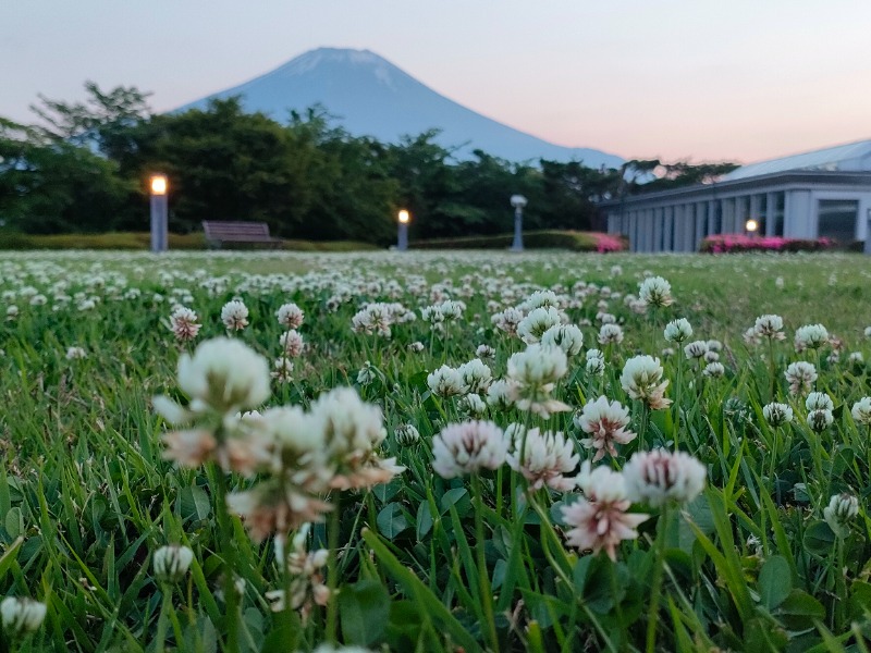 SWHさんのホテルマウント富士のサ活写真